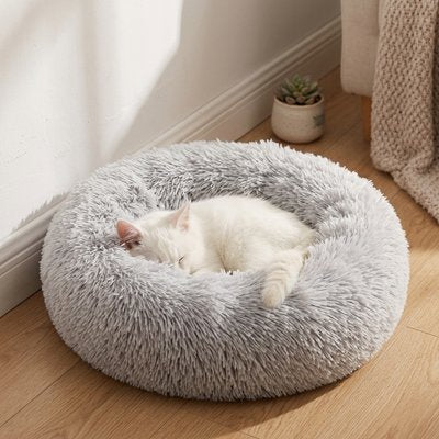 Un chat entièrement blanc à poil mi-long, roulé en boule au centre de coussin pour chat
