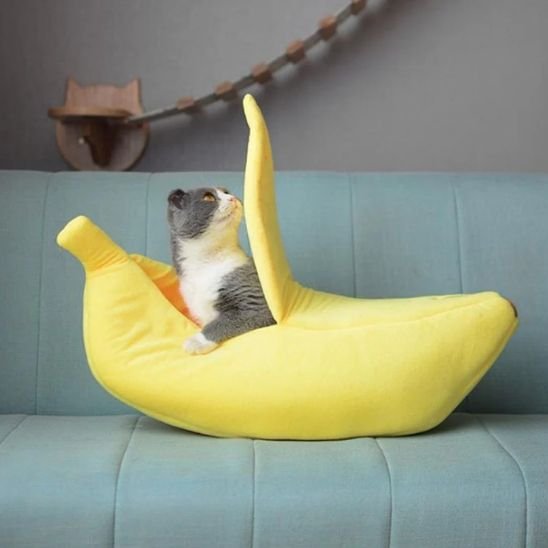 Un chat gris et blanc dans un grand panier pour chat en forme de banane jaune