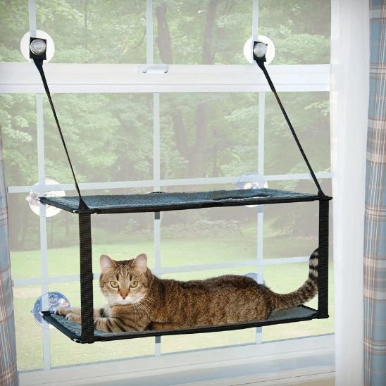 Un chat installé dans un hamac chat fenetre, regardant l’intérieur de la maison