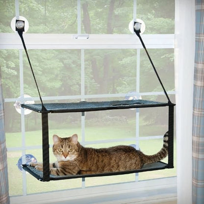Un chat installé dans un hamac chat fenetre, regardant l’intérieur de la maison