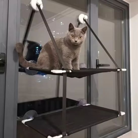 Un chat installé dans un hamac chat fenetre en position de surveillance 