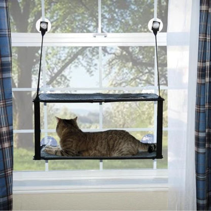 Un chat installé dans un hamac chat fenetre, regardant vers l’extérieur