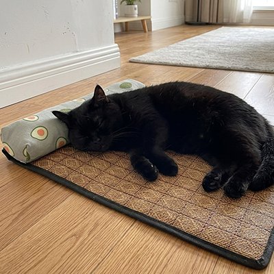 Un chat noir endormis sur un lit chat  à motif japonais vert