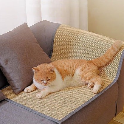 Un chat roux allongé sur un protege canape chat dans un salon lumineux