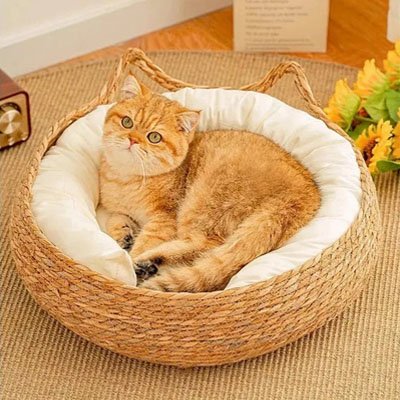  Un chat roux assis dans un panier chat osier tissé de forme ronde avec un coussin blanc moelleux
