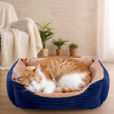 Un chat roux et blanc dort en boule dans un panier chat rectangulaire bleu marine