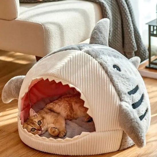 Un chat roux se repose confortablement à l'intérieur d'un chat panier en forme de requin