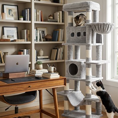 Un chat tigré est confortablement assis tout en haut de l'arbre à chat