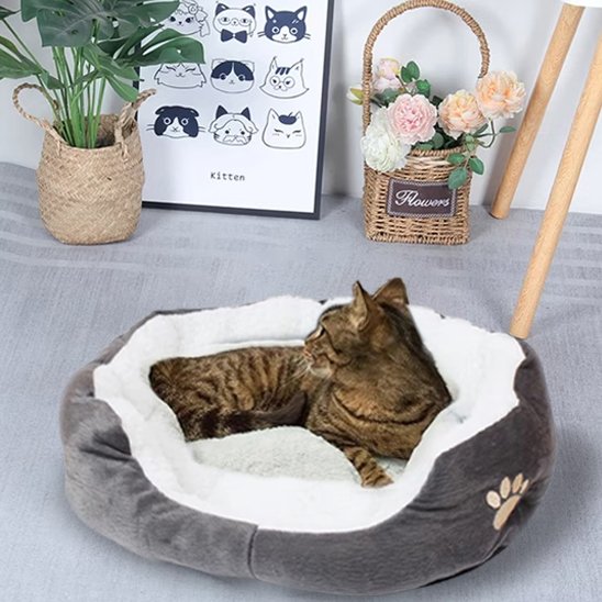 Un chat tigré brun se repose dans un panier chat douillet gris et blanc