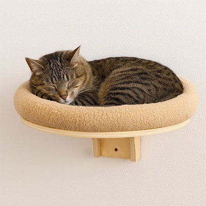 Un chat tigré marron dort paisiblement en boule sur un arbre a chat mural