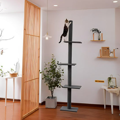 Un chat tigré et blanc grimpe au sommet d'un arbre chat bois gris