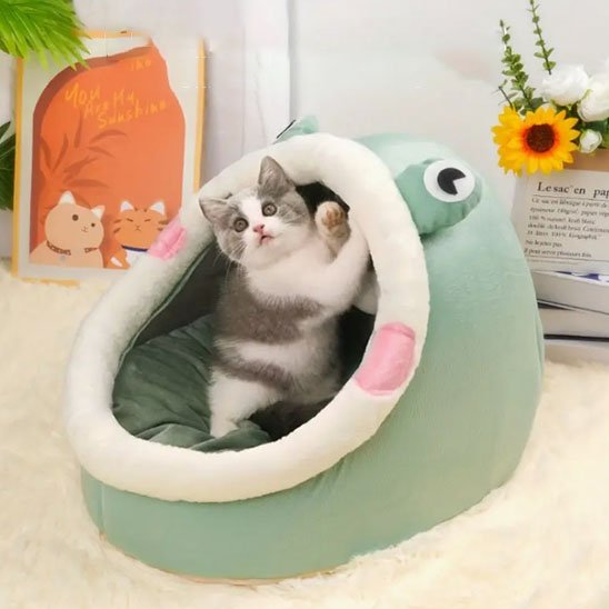 Un chaton blanc et gris lève une patte depuis l'intérieur d'une niche pour chat douillette verte en forme de grenouille