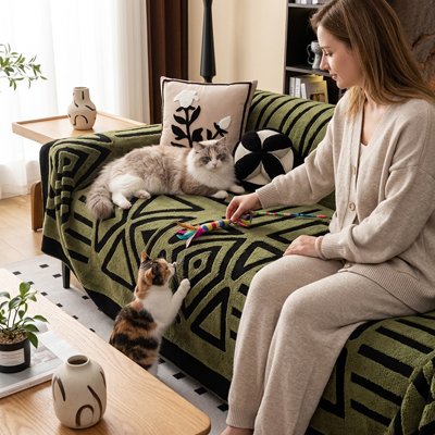 Un grand chat est allongé paisiblement sur un canapé recouvert par protege canape chat de couleur vert