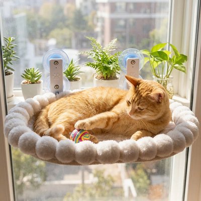 Un chat orange tigré confortablement couché dans un hamac pour chat fenetre douillet et doux