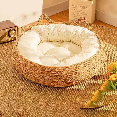 Un panier chat osier tissé de forme ronde avec un coussin blanc moelleux