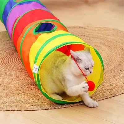 Un tunnel du chat posé sur un tapis