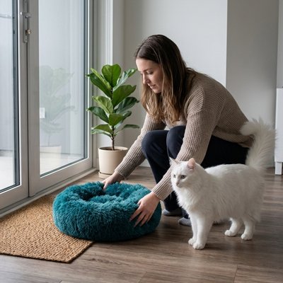 Une femme installe un coussin chat pour son chat de couleur bleu
