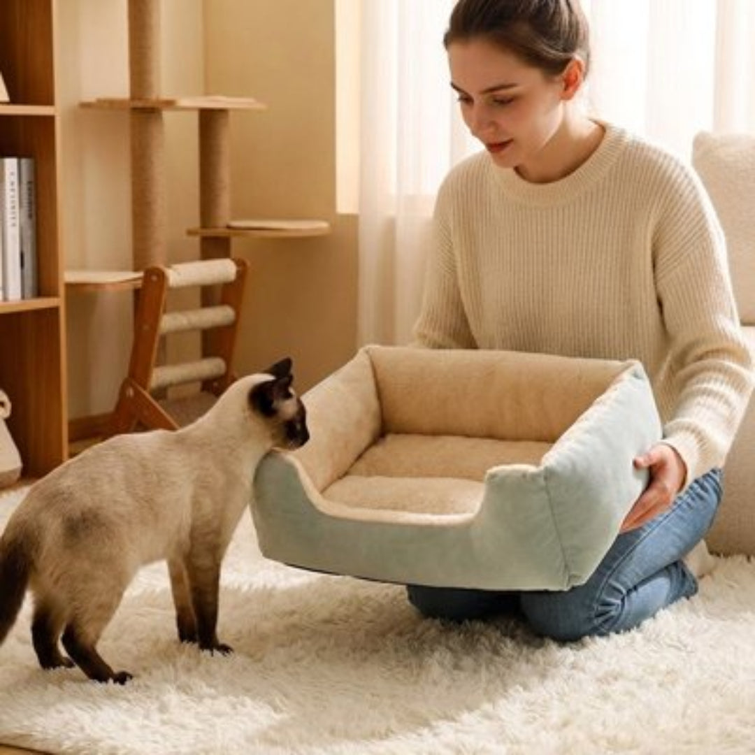 Une femme porte un panier pour chat 