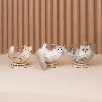 Une rangée de trois lits pour chats design en acrylique transparent sur socles en bois